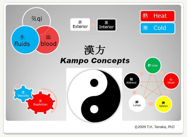 Kampo medicine diagram showing diagnosis and treatment concepts